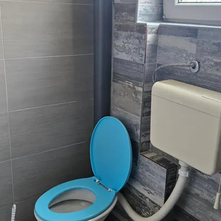 Gazde/Camere de închiriat House Kostoski *